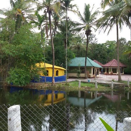 Coorg Anekad Jungle Stay Kushālnagar Buitenkant foto