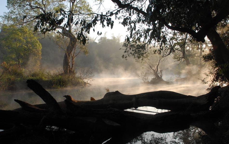 Coorg Anekad Jungle Stay Kushālnagar Buitenkant foto